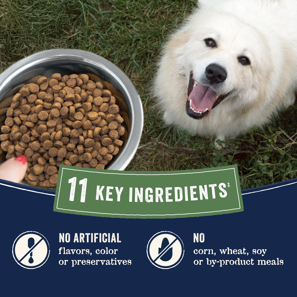 CANIDAE Pure small-batch kitchen scene from Brownwood, Texas.