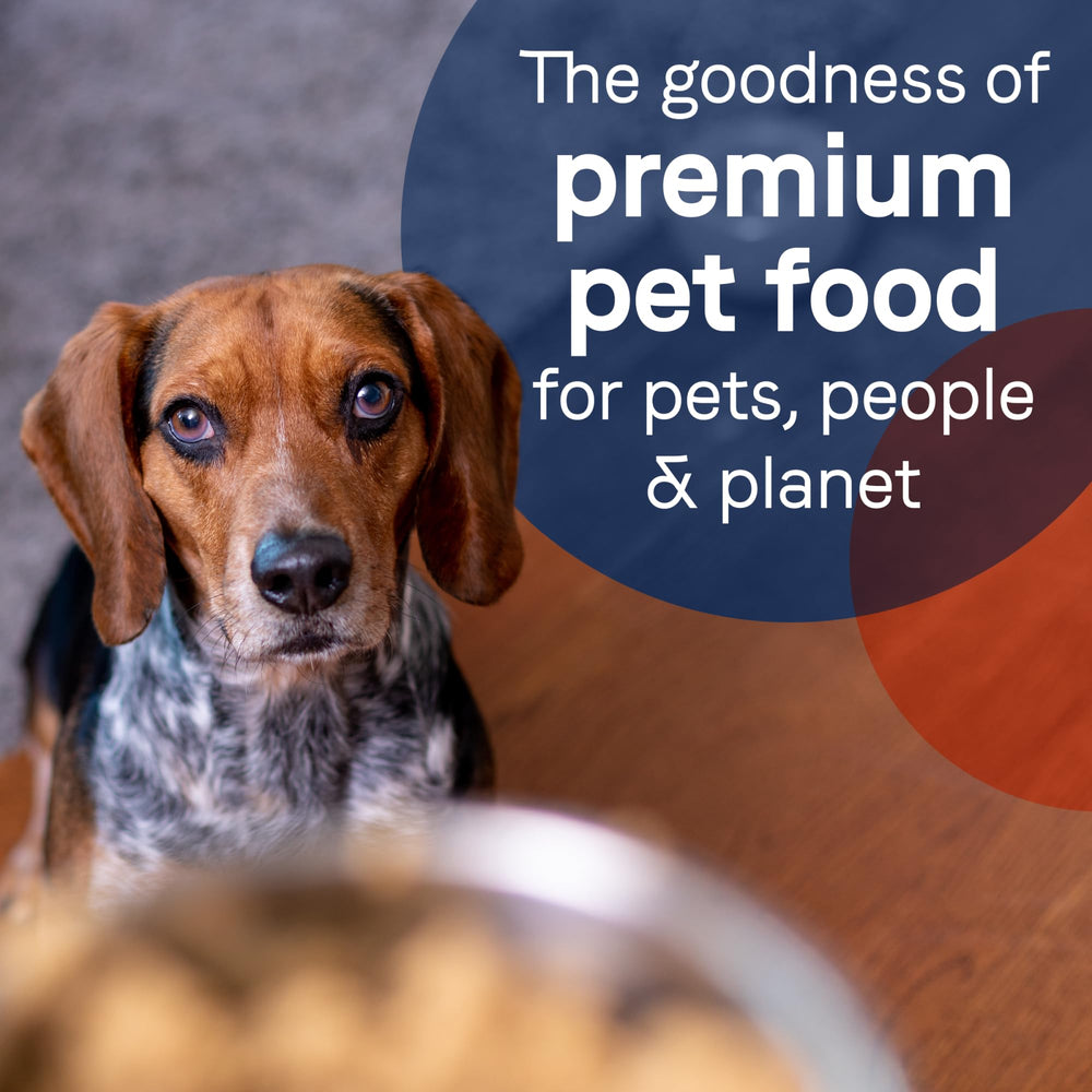 CANIDAE PURE soft-meat-flakes close-up demonstrates tender texture.