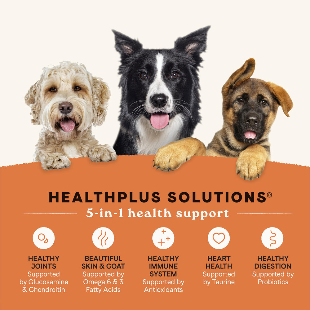 Canidae salmon-first-ingredient closeup highlights digestible protein and balanced nutrition.