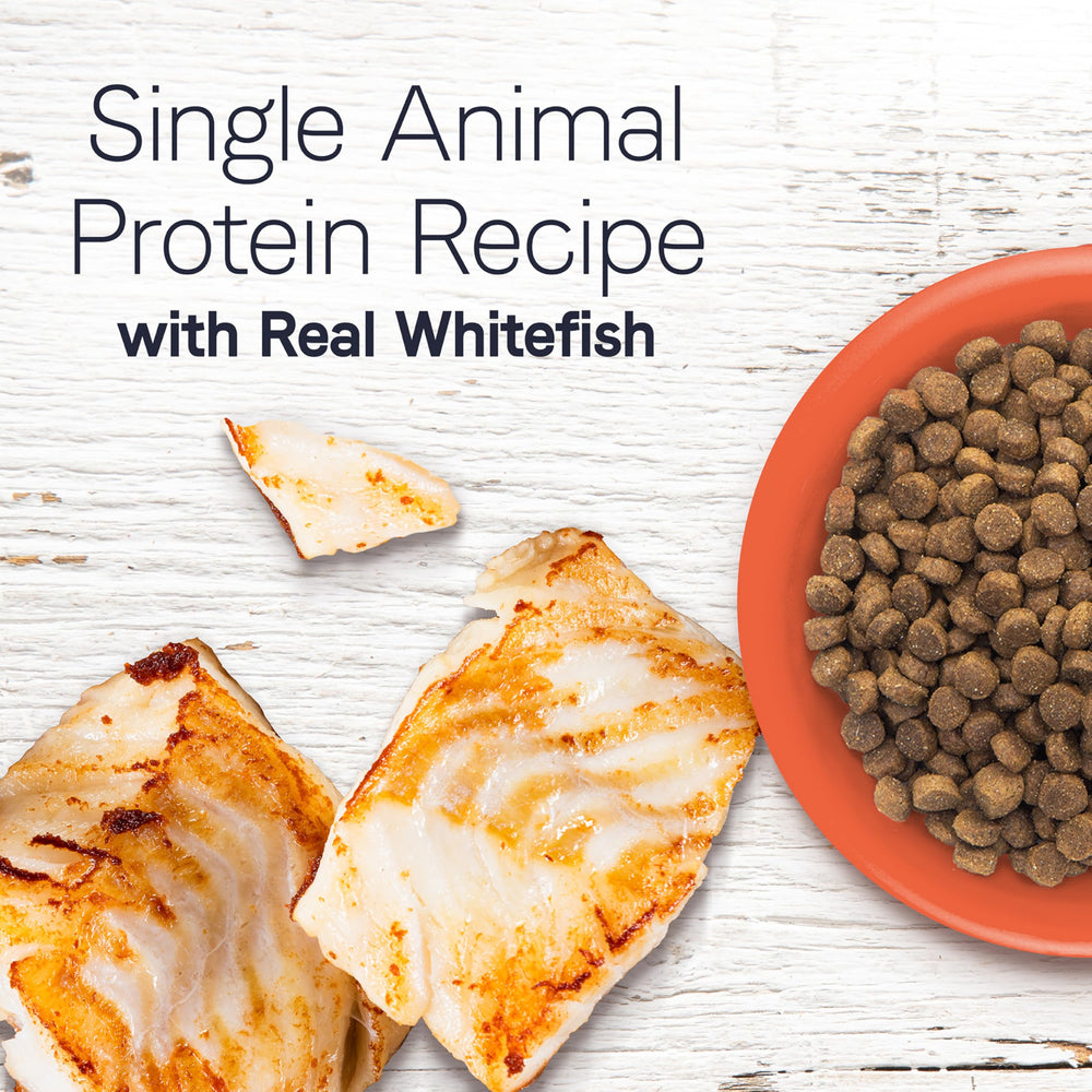 CANIDAE Under The Sun kibble closeup showing grain-free formula.