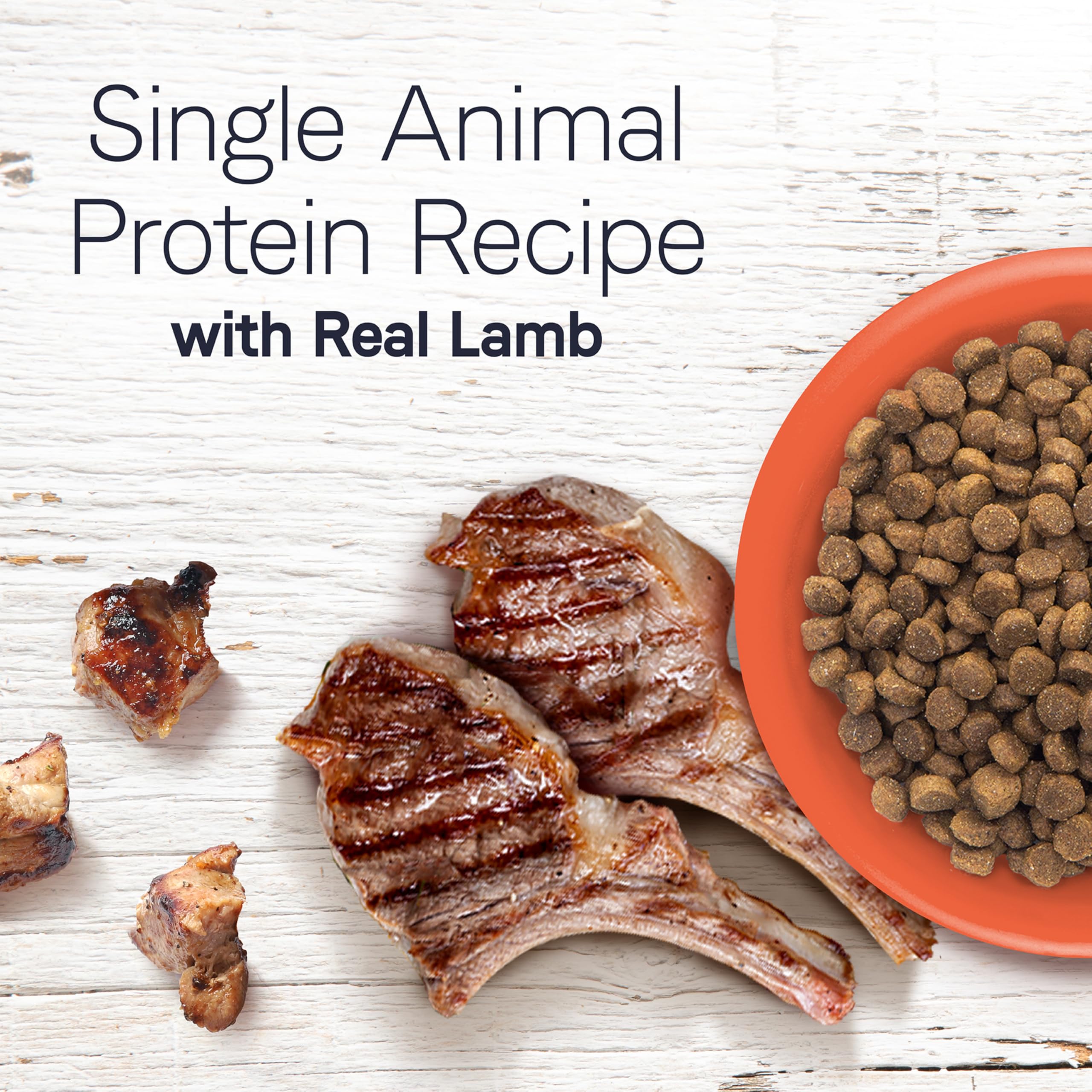 CANIDAE Under the Sun Lamb kibble close-up showing real lamb flavor.
