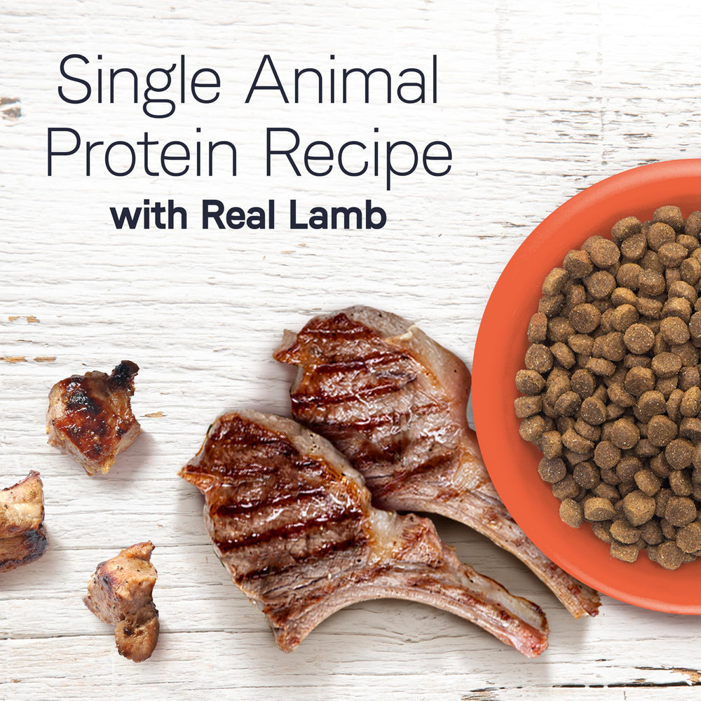 CANIDAE Under the Sun Lamb kibble close-up showing real lamb flavor.