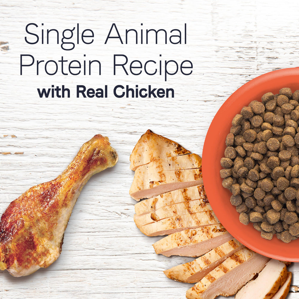 CANIDAE Under the Sun real chicken kibble pieces for tasty meals.