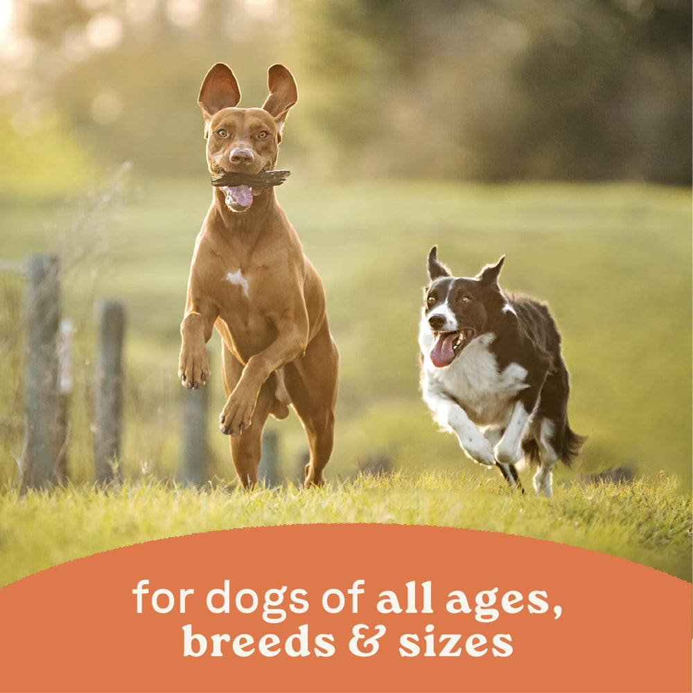 Savory broth enhances CANIDAE wet dog food flavor and texture.