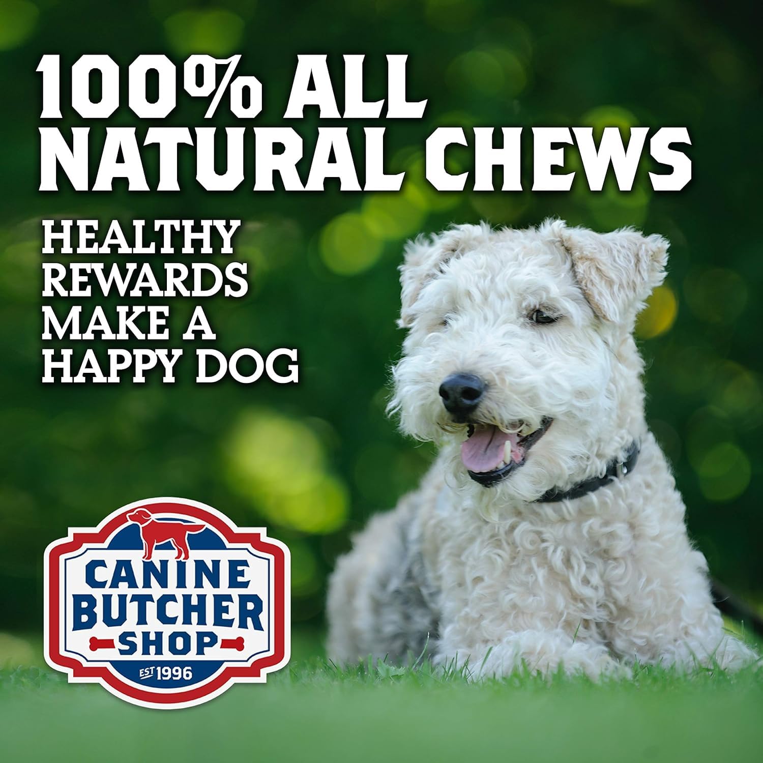 Canine Butcher Shop dog enjoying a crunchy treat.