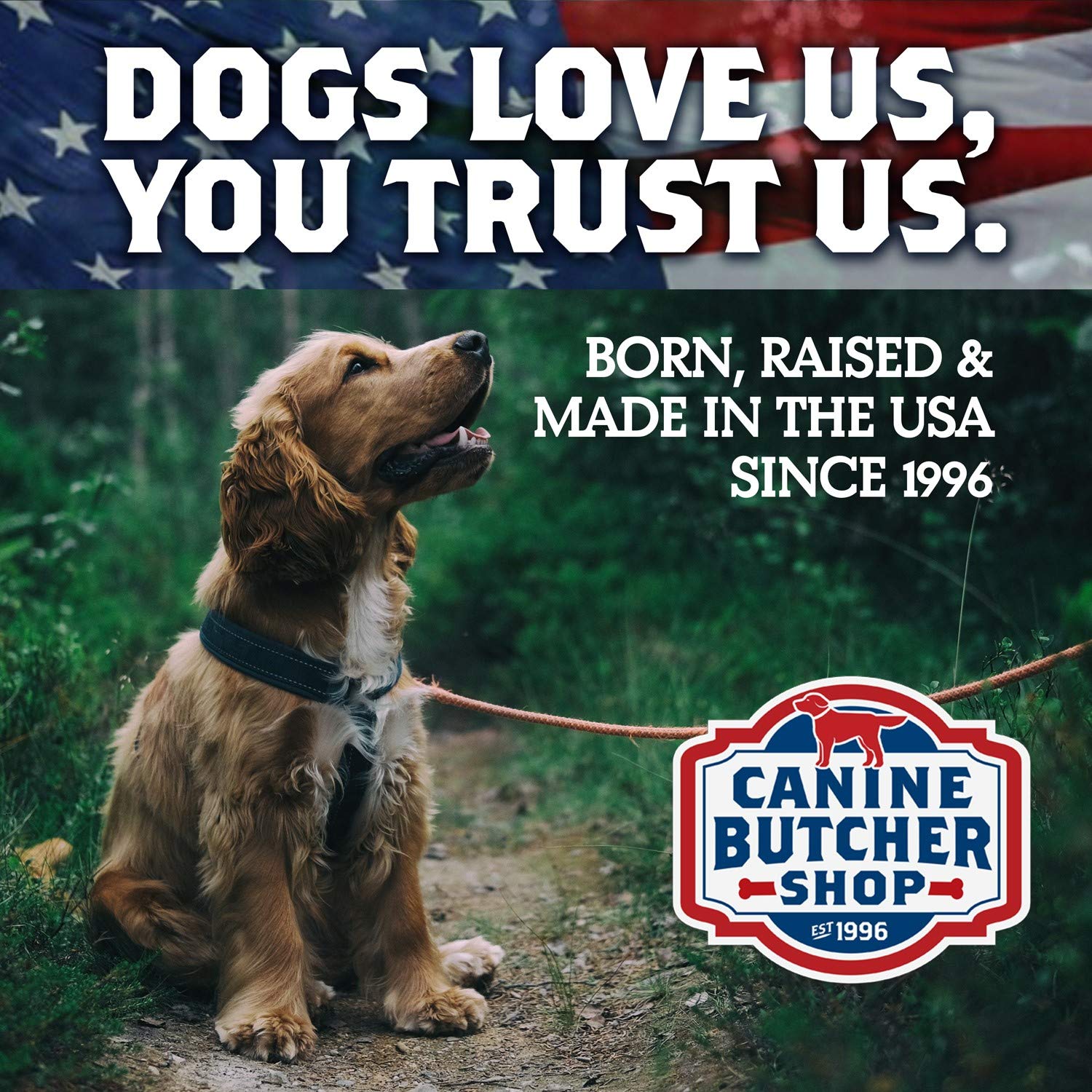Pig ears texture shown as a long-lasting chew by Canine Butcher Shop.
