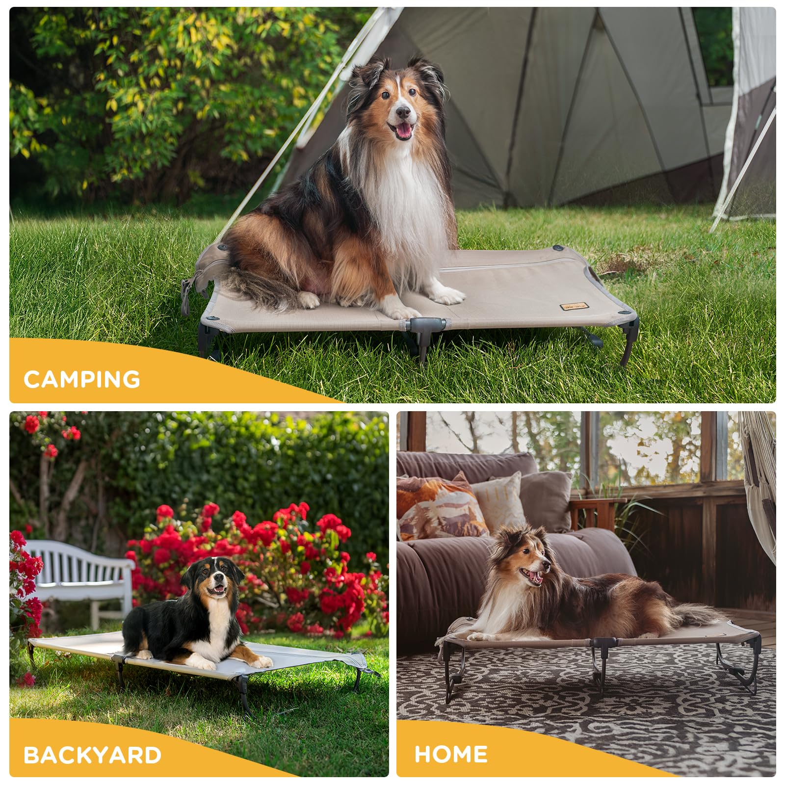 CANINE CANYON Daisy Cot camping-use bed supports up to 160 lbs.