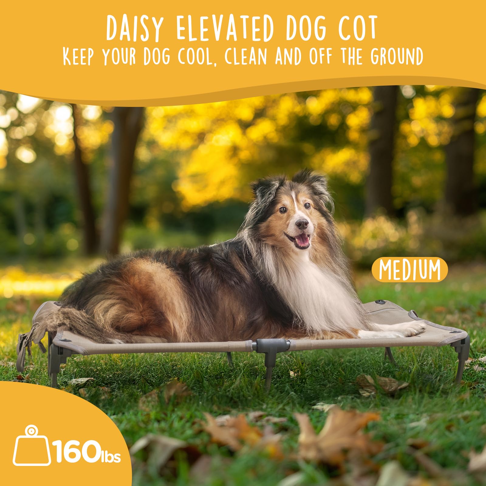 CANINE CANYON Daisy Cot elevated bed ready for outdoor adventures.