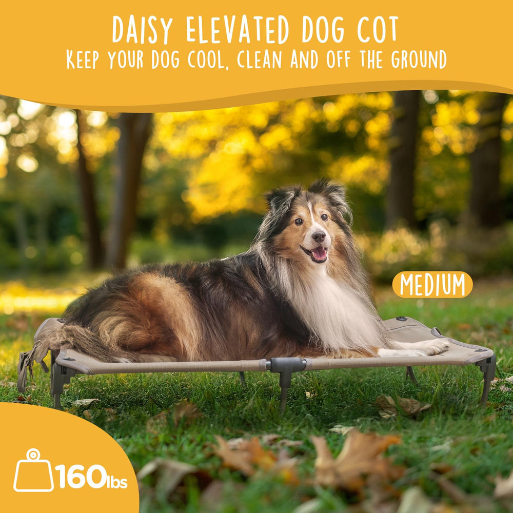 CANINE CANYON Daisy Cot elevated bed ready for outdoor adventures.