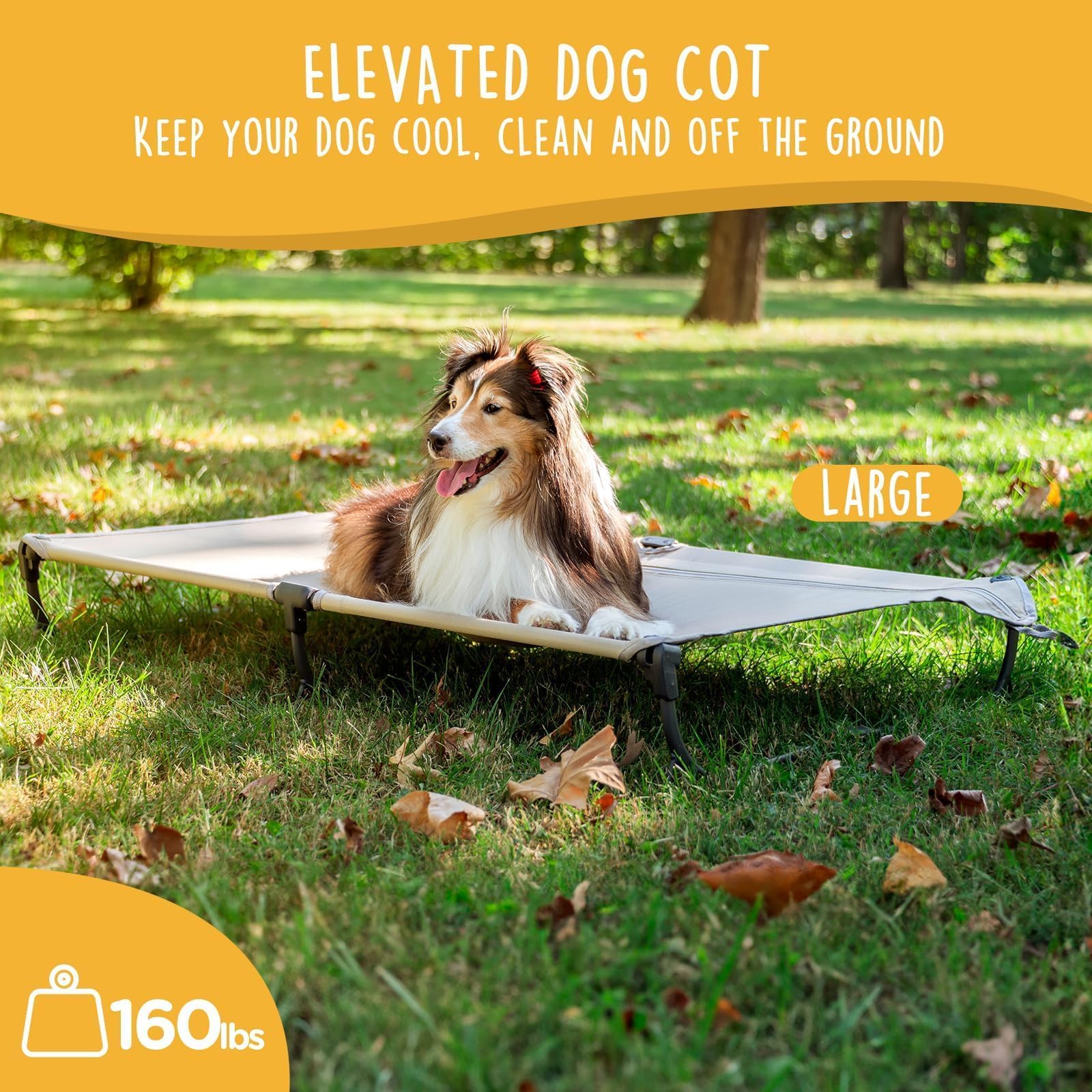 CANINE CANYON Daisy Cot no-assembly design for quick setup anywhere.