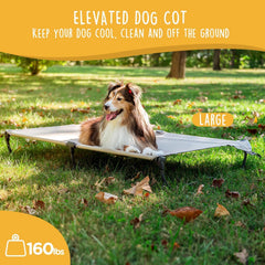 CANINE CANYON Daisy Cot no-assembly design for quick setup anywhere.