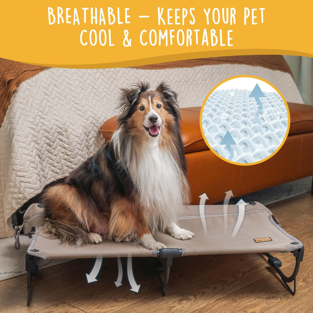 CANINE CANYON Daisy Cot washable, chew-proof fabric.