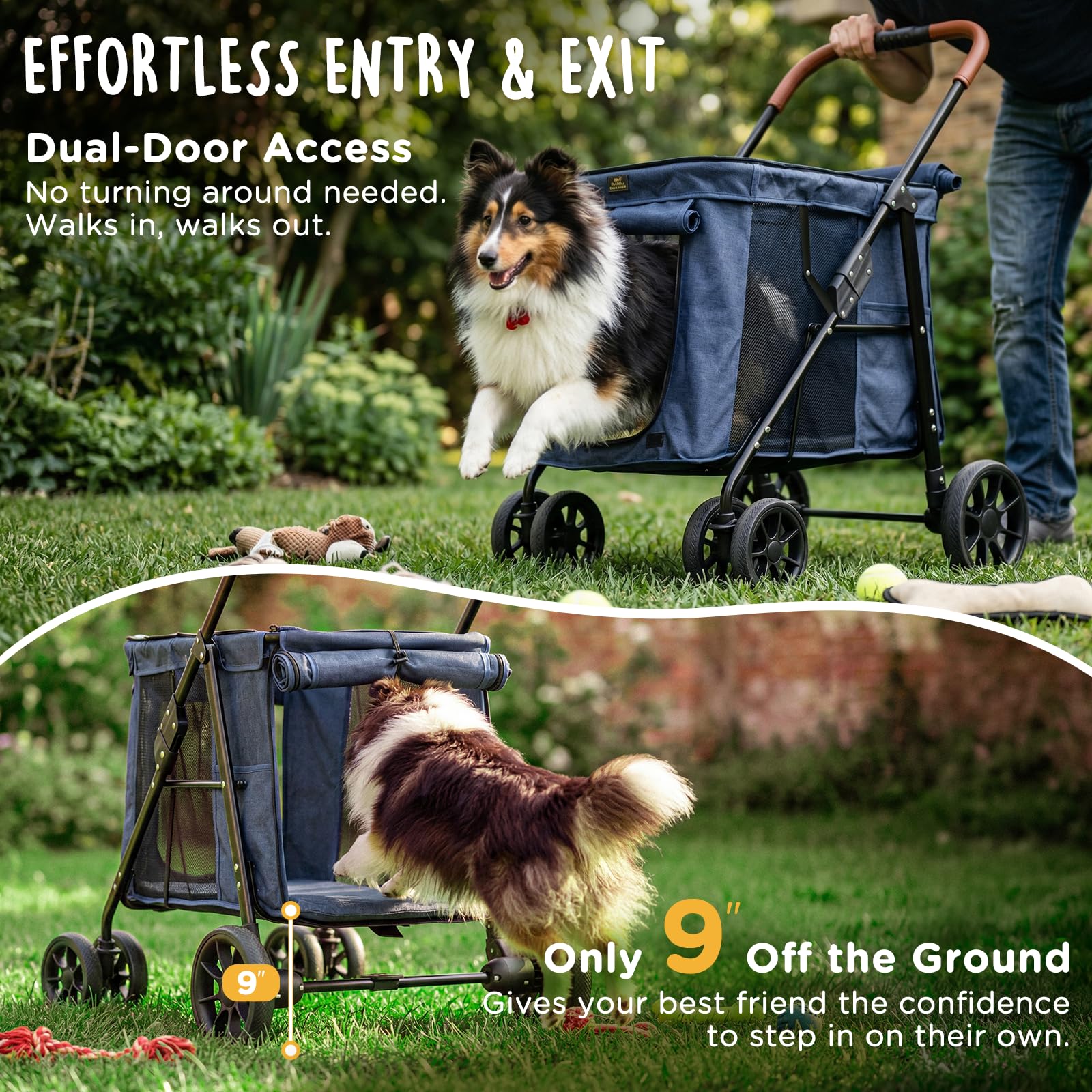 CANINE CANYON Scout rugged frame for stable, smooth rides.