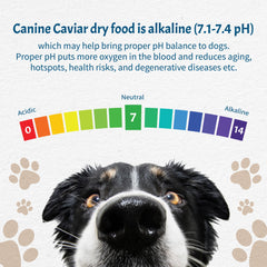 Canine Caviar Free Spirit flaxseed and fishmeal ingredients promote omega balance.