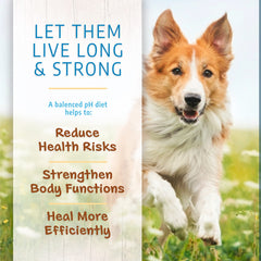 Canine Caviar Open Meadow kibble in a bowl highlighting grain-free balance for dogs.