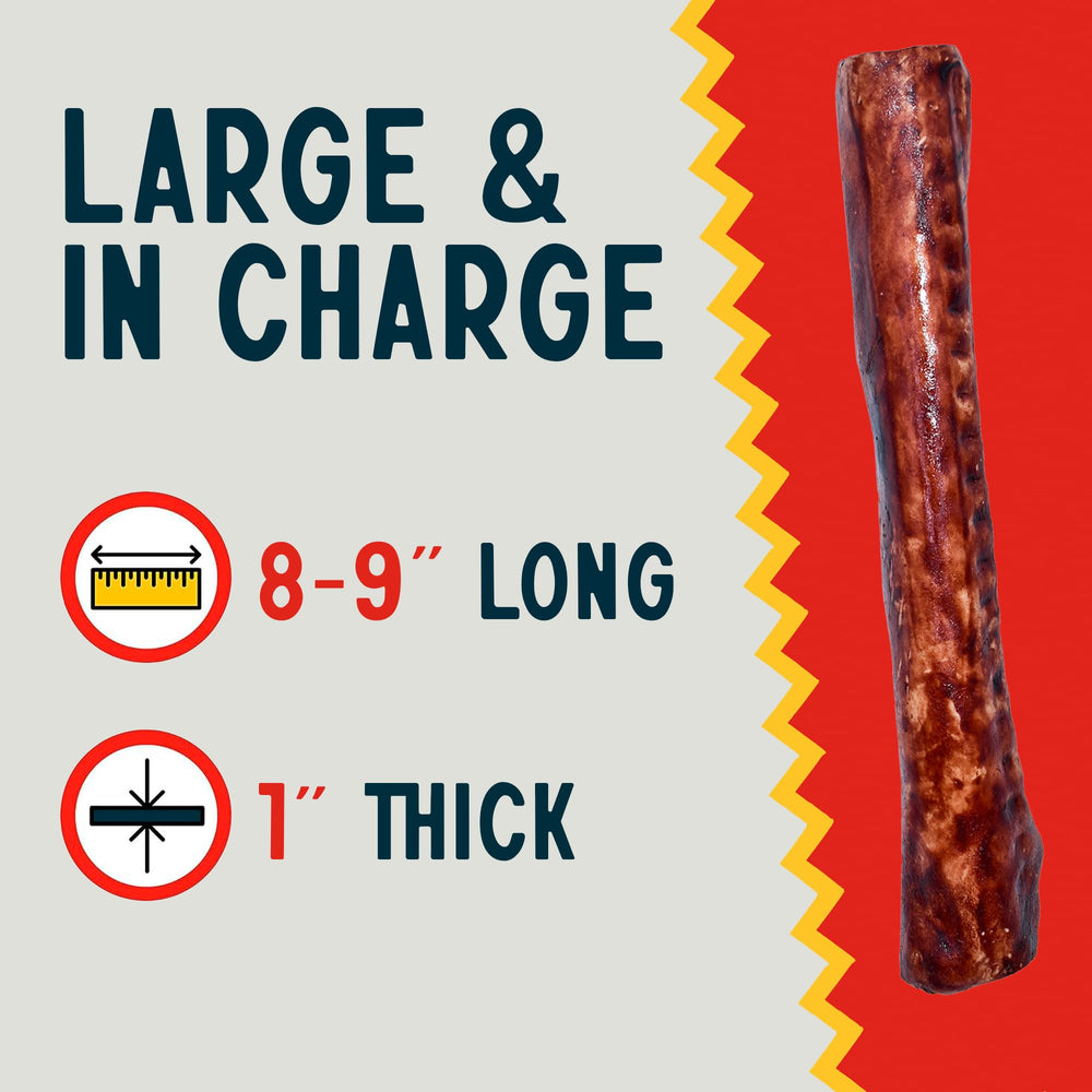 Canine Chews rawhide rolls coated in beef broth for tasty chew sessions.
