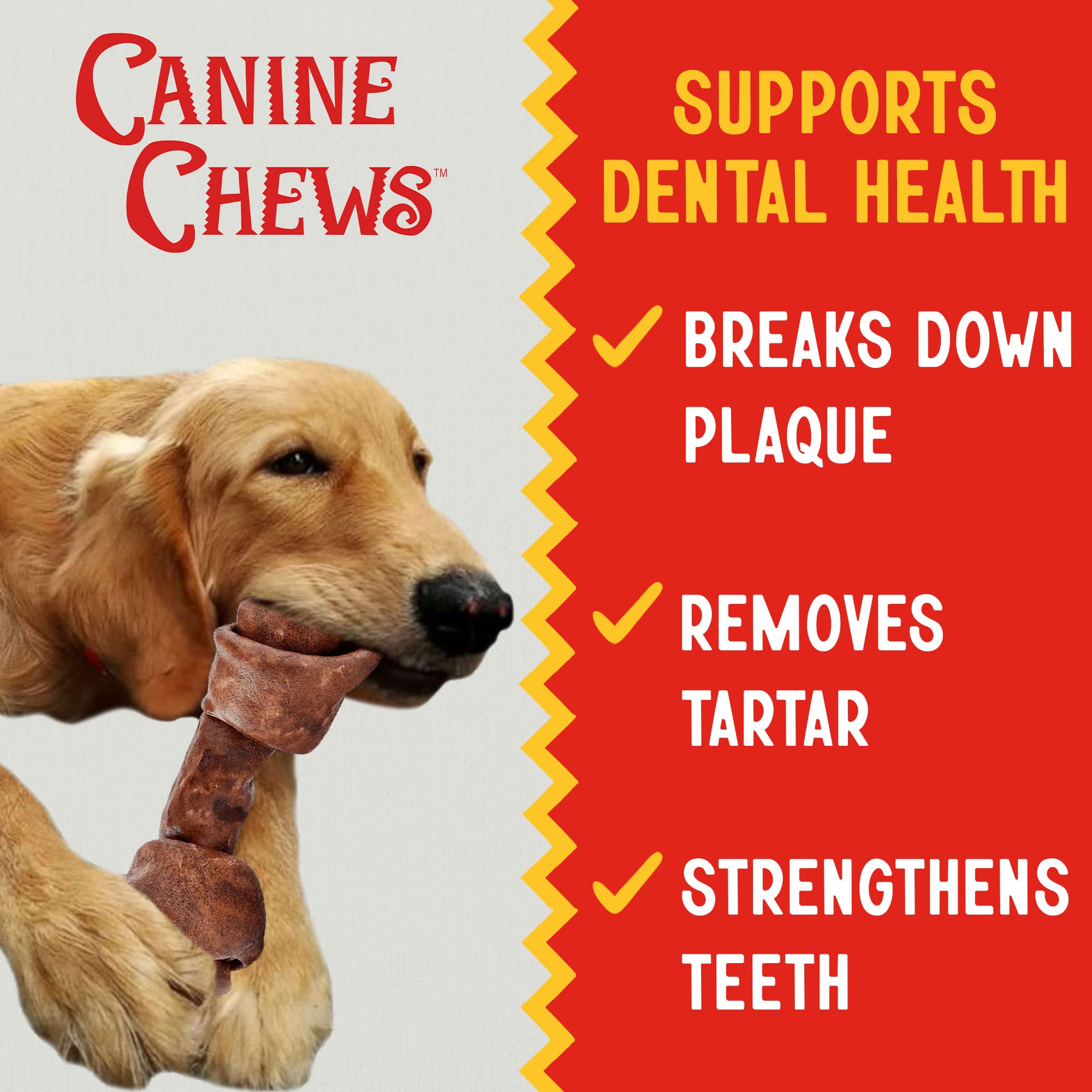 Canine Chews large dog rawhide bone supports extended chewing sessions