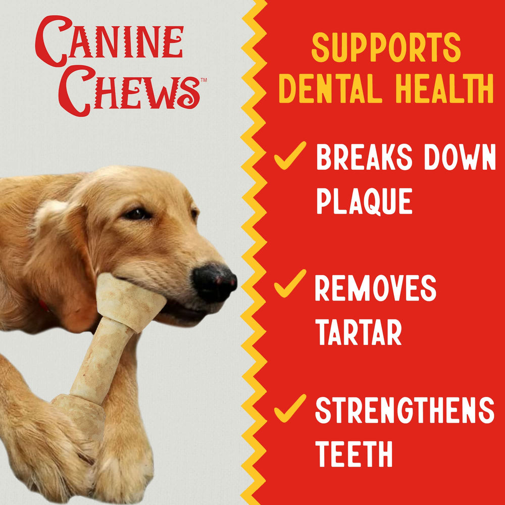 Bag packaging showing Canine Chews 10 bone pack