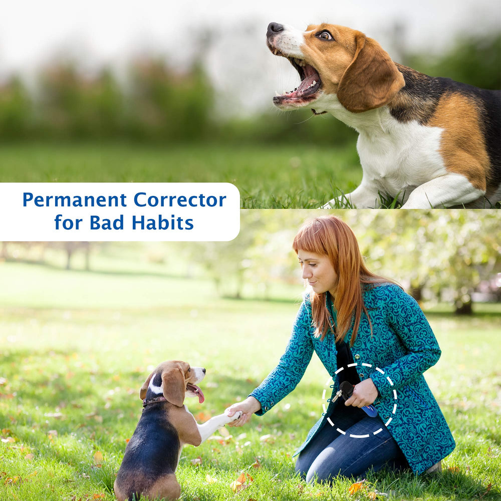 Air burst feature of Canine Innovations Convincer delivers humane behavioral cues.
