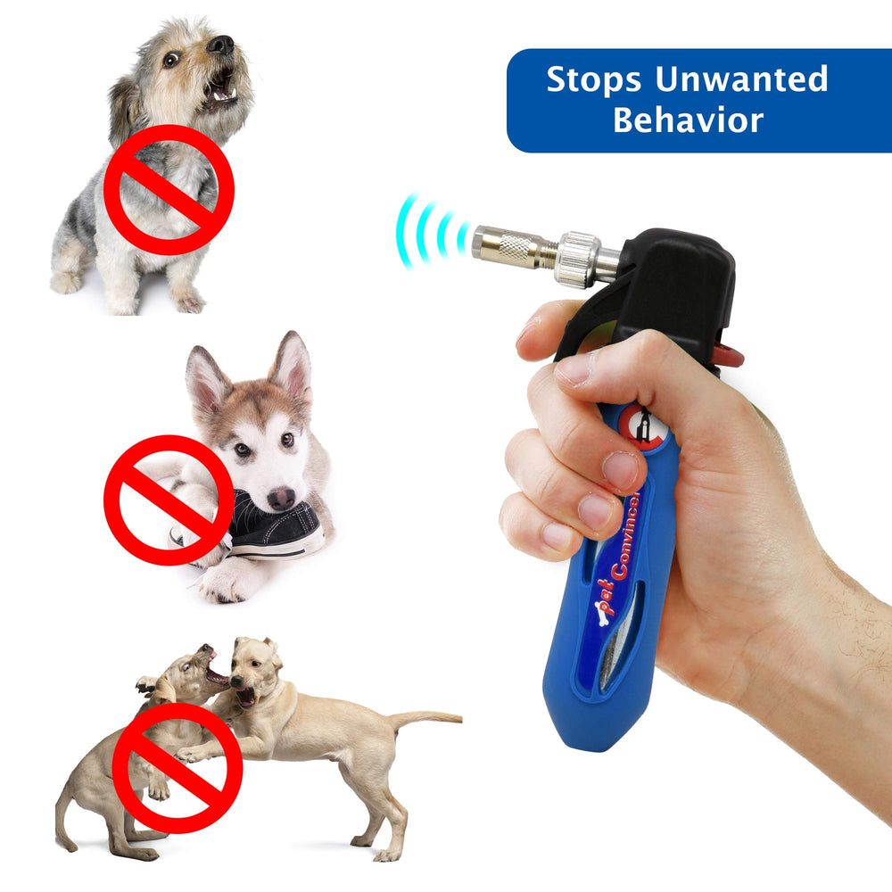 Trainer demonstrates Canine Innovations device in a real-world training scenario.