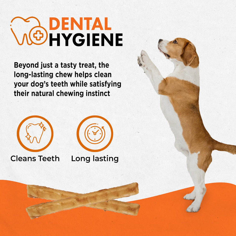 Canine Naturals all-natural gluten-free recipe with wholesome ingredients.