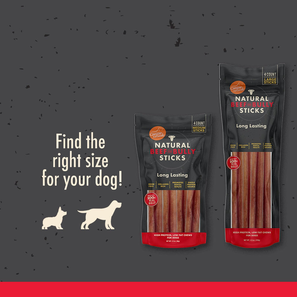 Canine Naturals beef bully stick durable chew for long-lasting entertainment