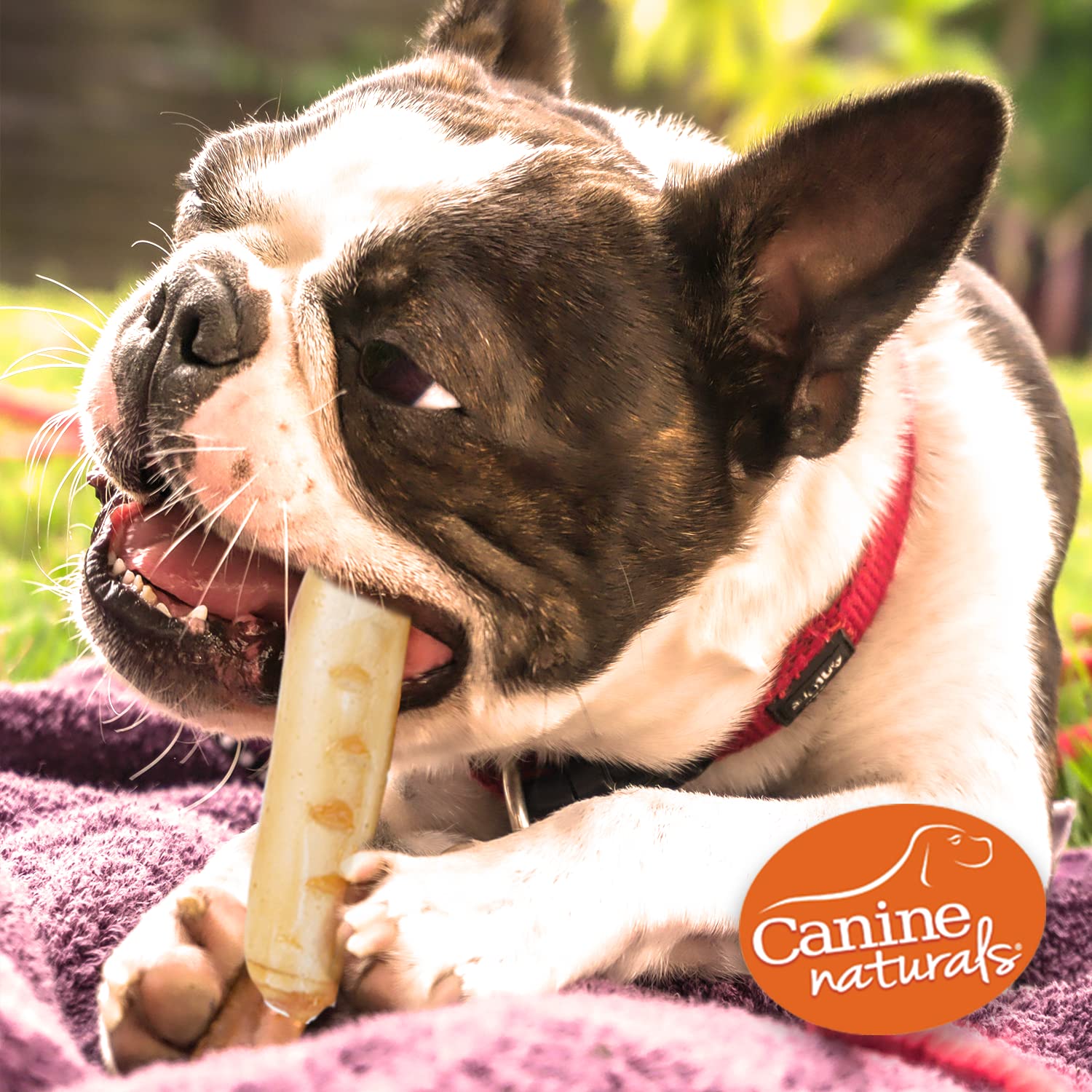 Canine Naturals dental hygiene chew helps clean teeth and gums.