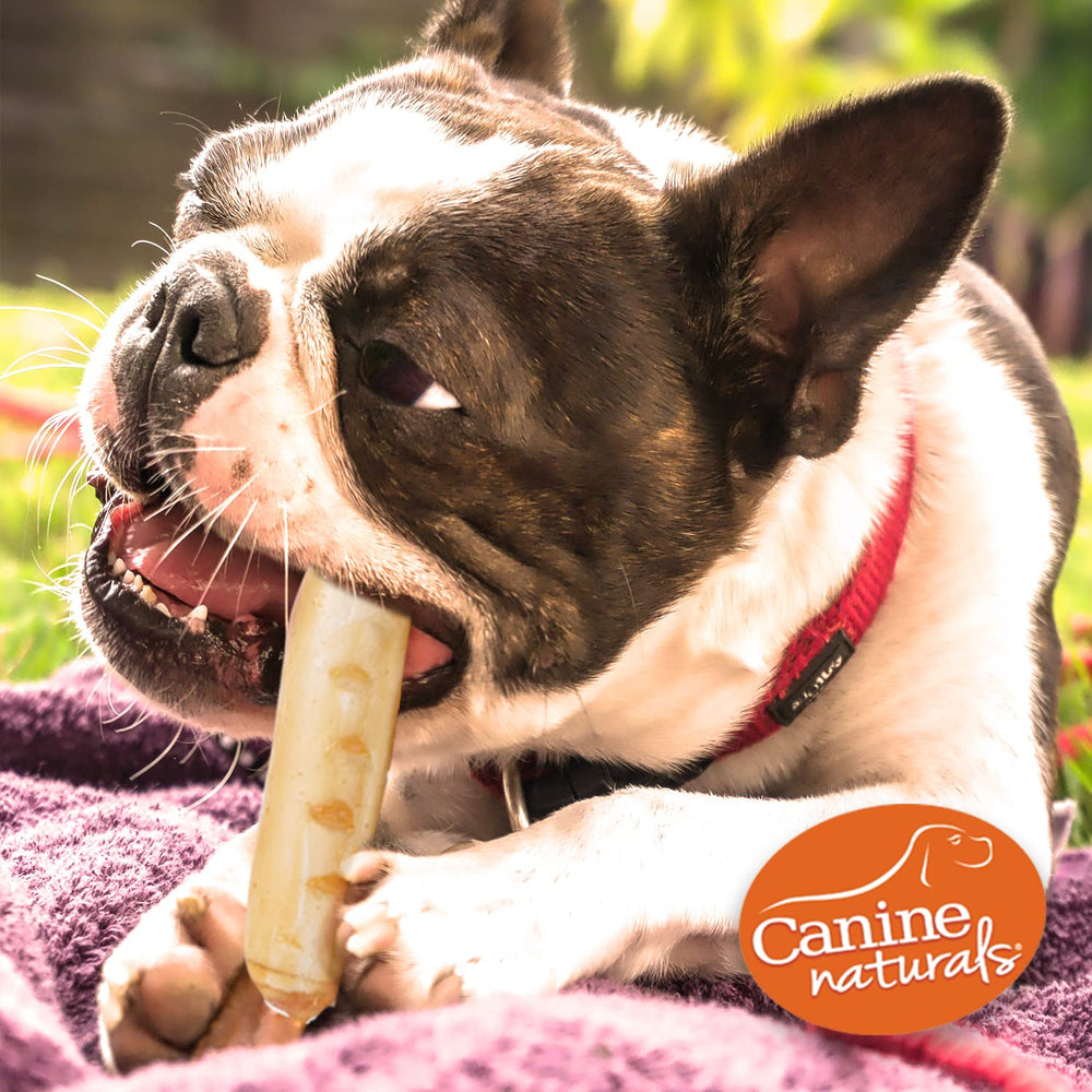 Canine Naturals dental hygiene chew helps clean teeth and gums.