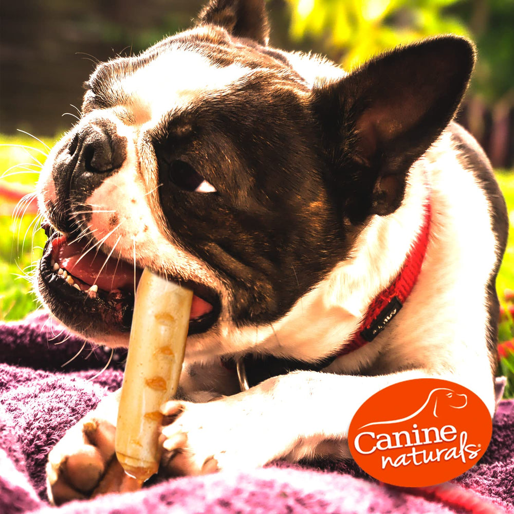 Canine Naturals long-lasting chew for extended play sessions.