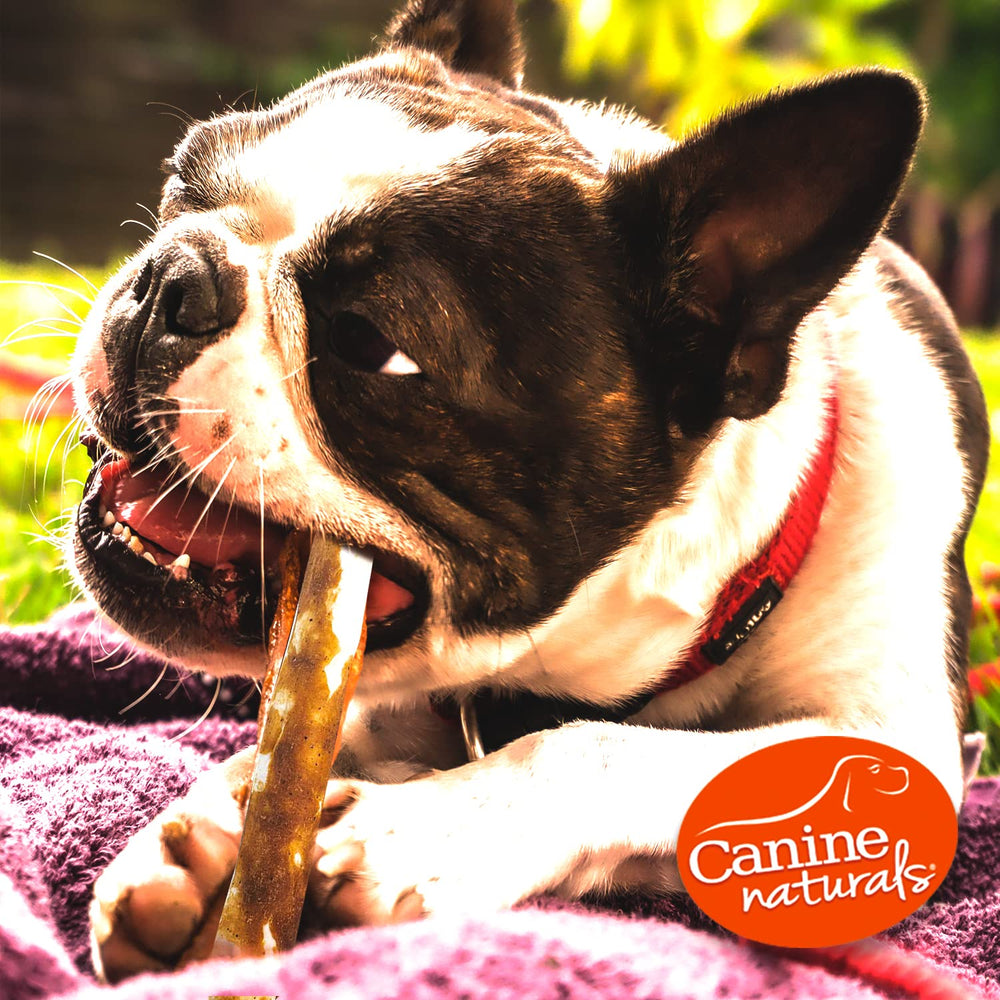 Canine Naturals Peanut Butter Chew ingredients list highlights limited ingredients.