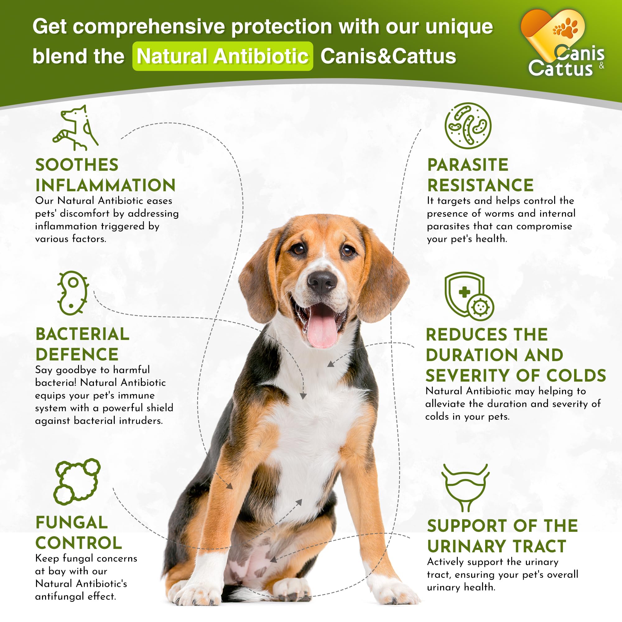 Canis&Cattus dropper-dispensing scene demonstrates precise dosing for pets