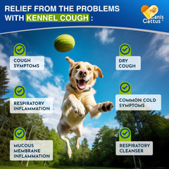 Canis&Cattus herbal kennel cough label highlighting natural ingredients for pet wellness.