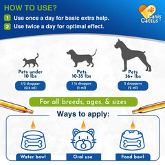 Canis&Cattus pet dog and cat using the supplement during daily care.