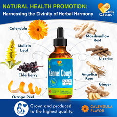 Canis&Cattus serving drops into food or water for convenient administration.