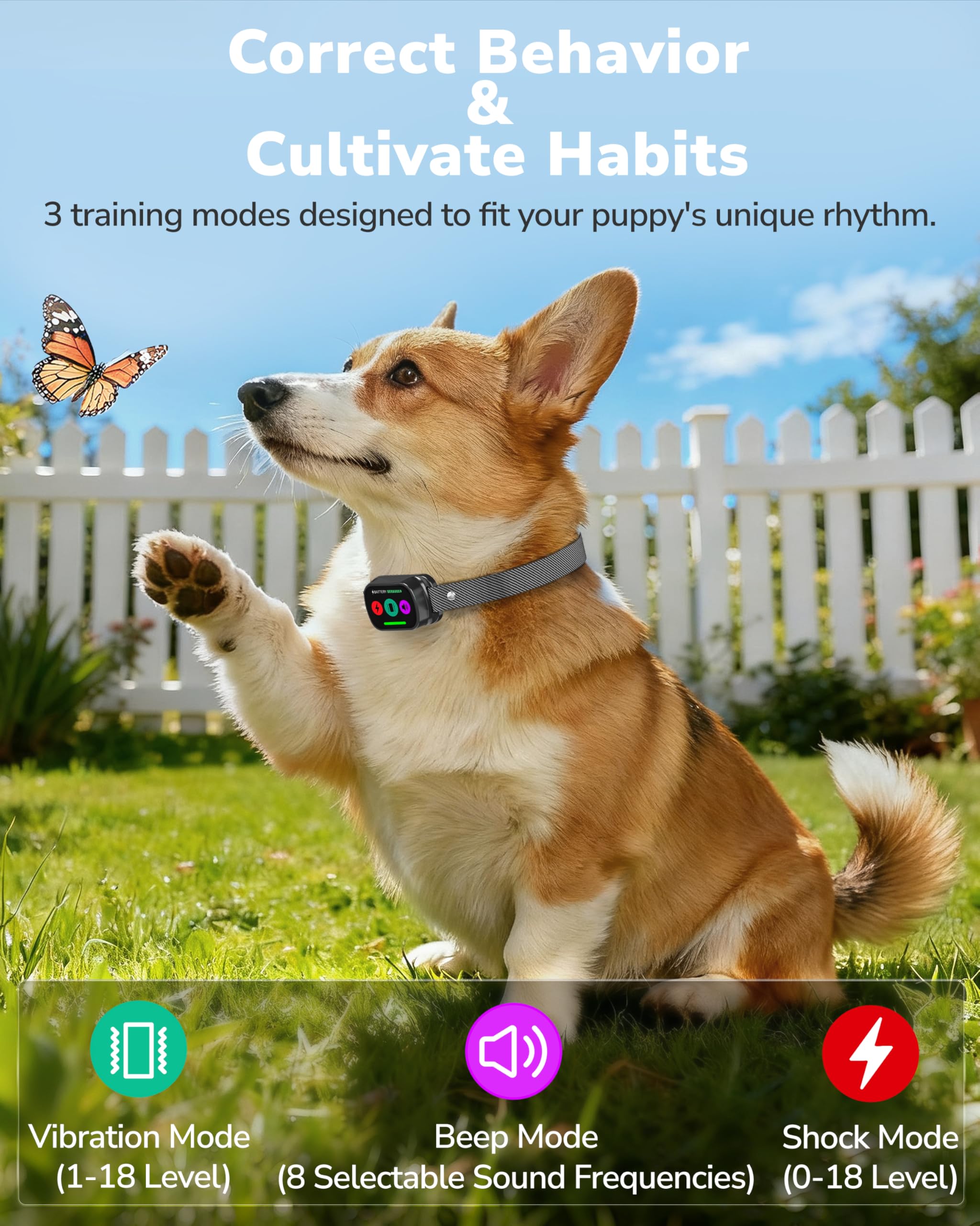 Canivix waterproof collar lets dogs swim while remaining functional.