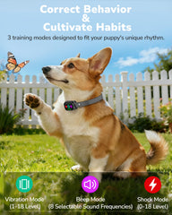 Canivix waterproof collar lets dogs swim while remaining functional.