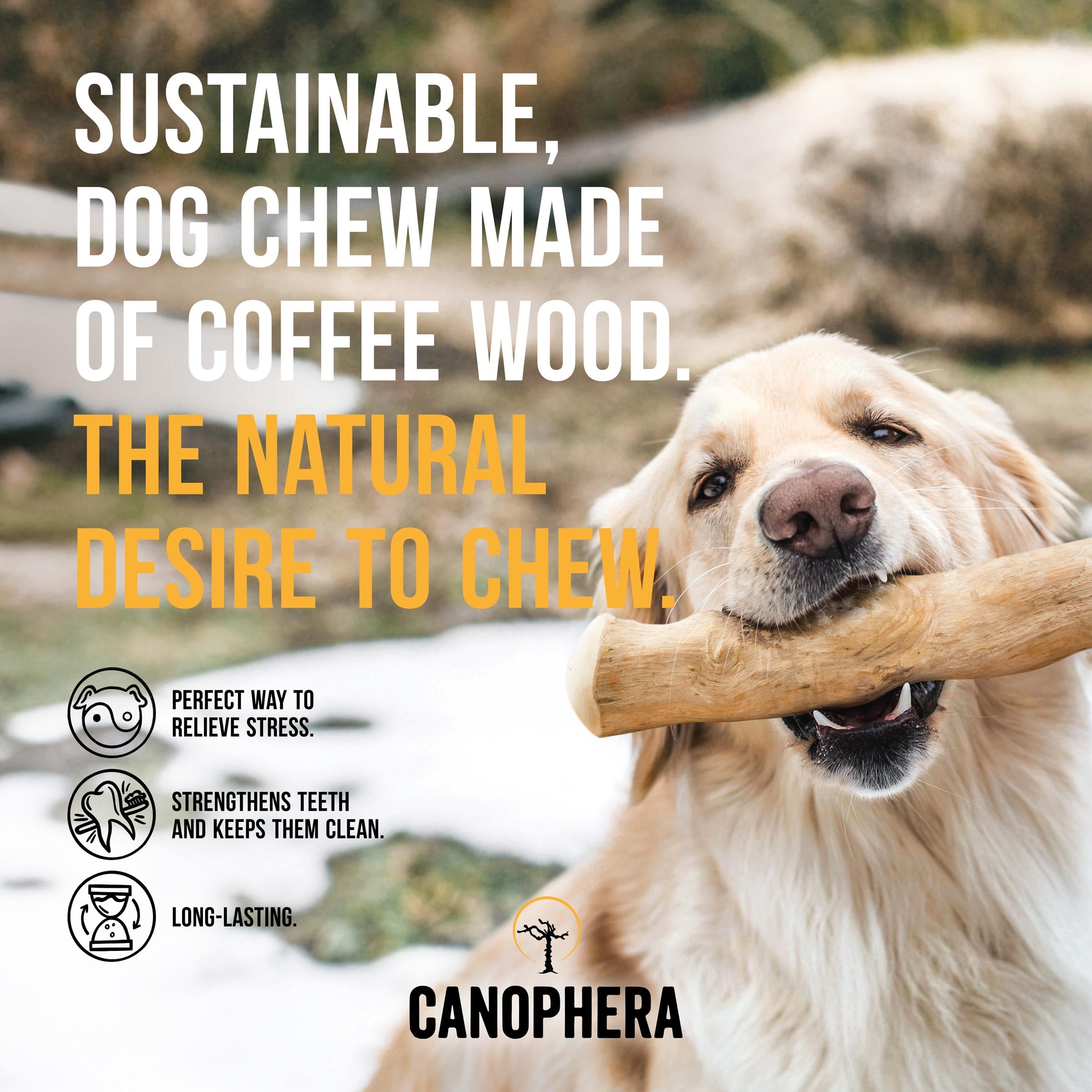 Close-up of Canophera coffee wood chew small stick showing durable material for chewing.