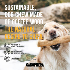 Close-up of Canophera coffee wood chew small stick showing durable material for chewing.