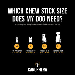 Canophera coffee wood chew small stick in use during play for regular chewers.