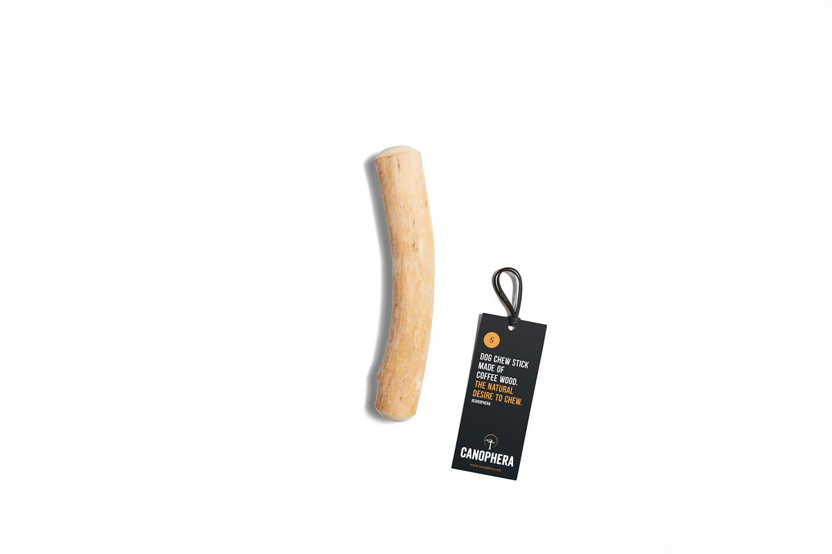 Canophera coffee wood dog chew small stick highlighting natural material and dental benefits.