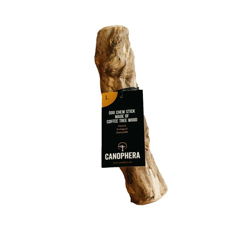 Canophera Coffee Wood Dog Chew Stick – Large view showing durable, natural chew for stress relief and dental support.