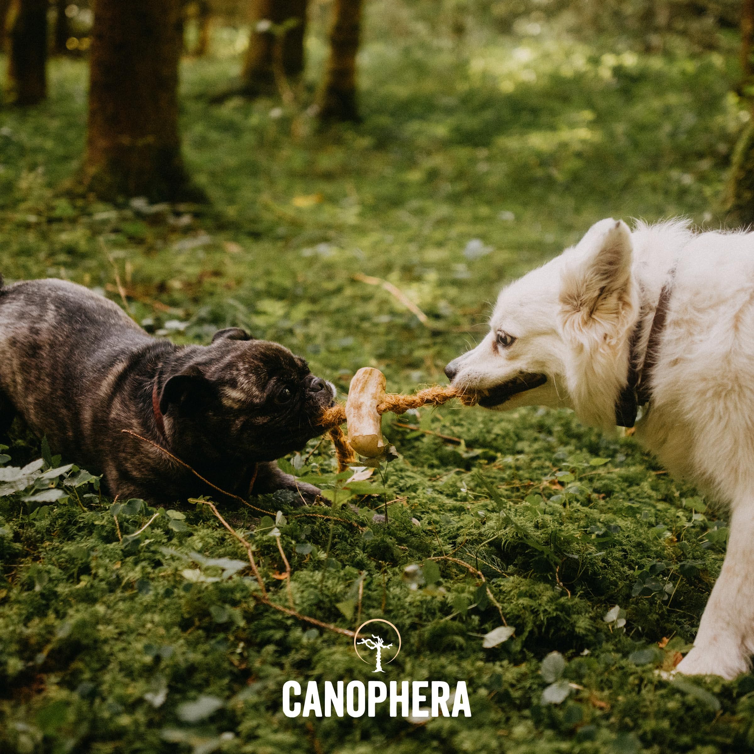 Durable Canophera chew toy for large breeds delivering long-lasting entertainment.