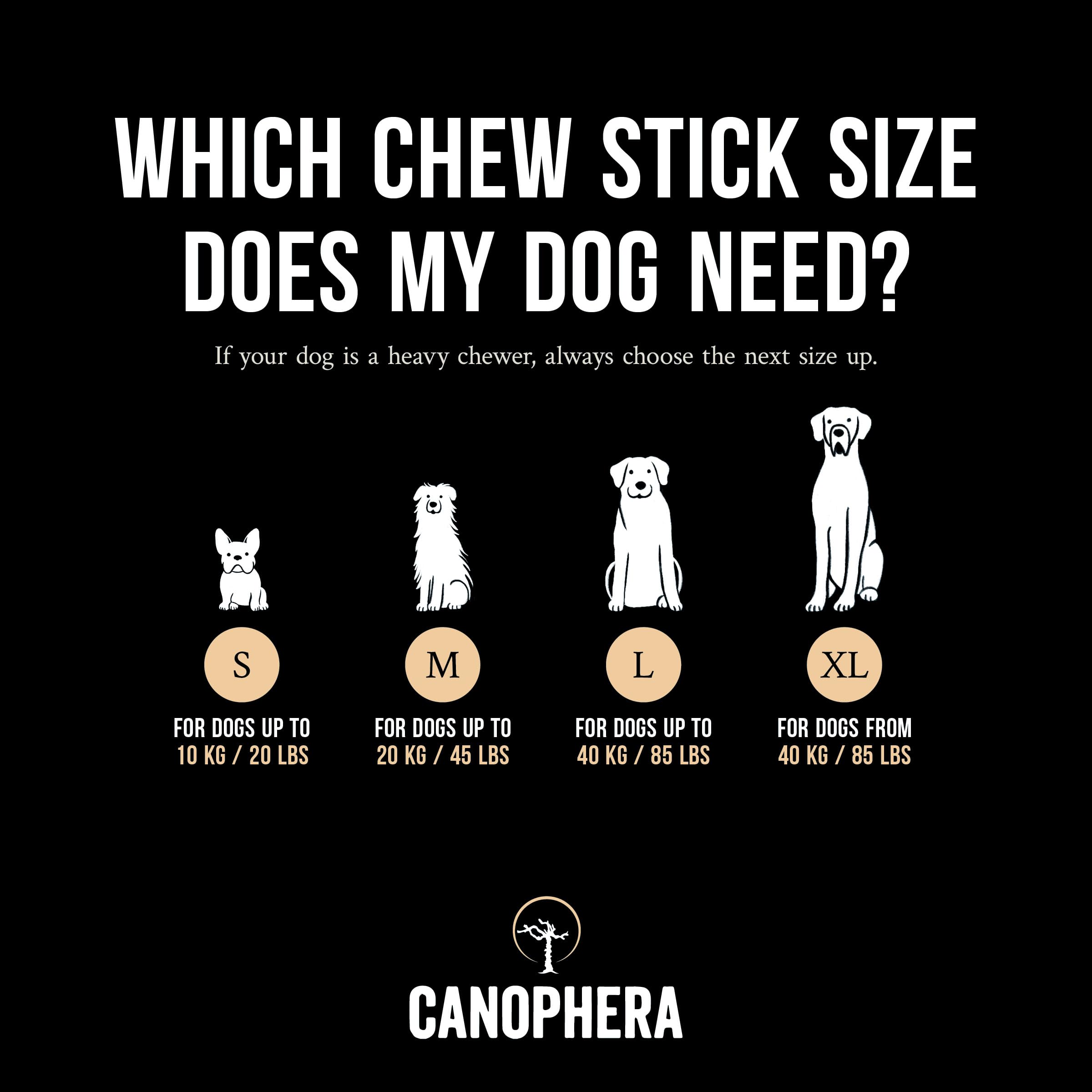 Canophera dog chew in action supports natural teeth cleaning during play.
