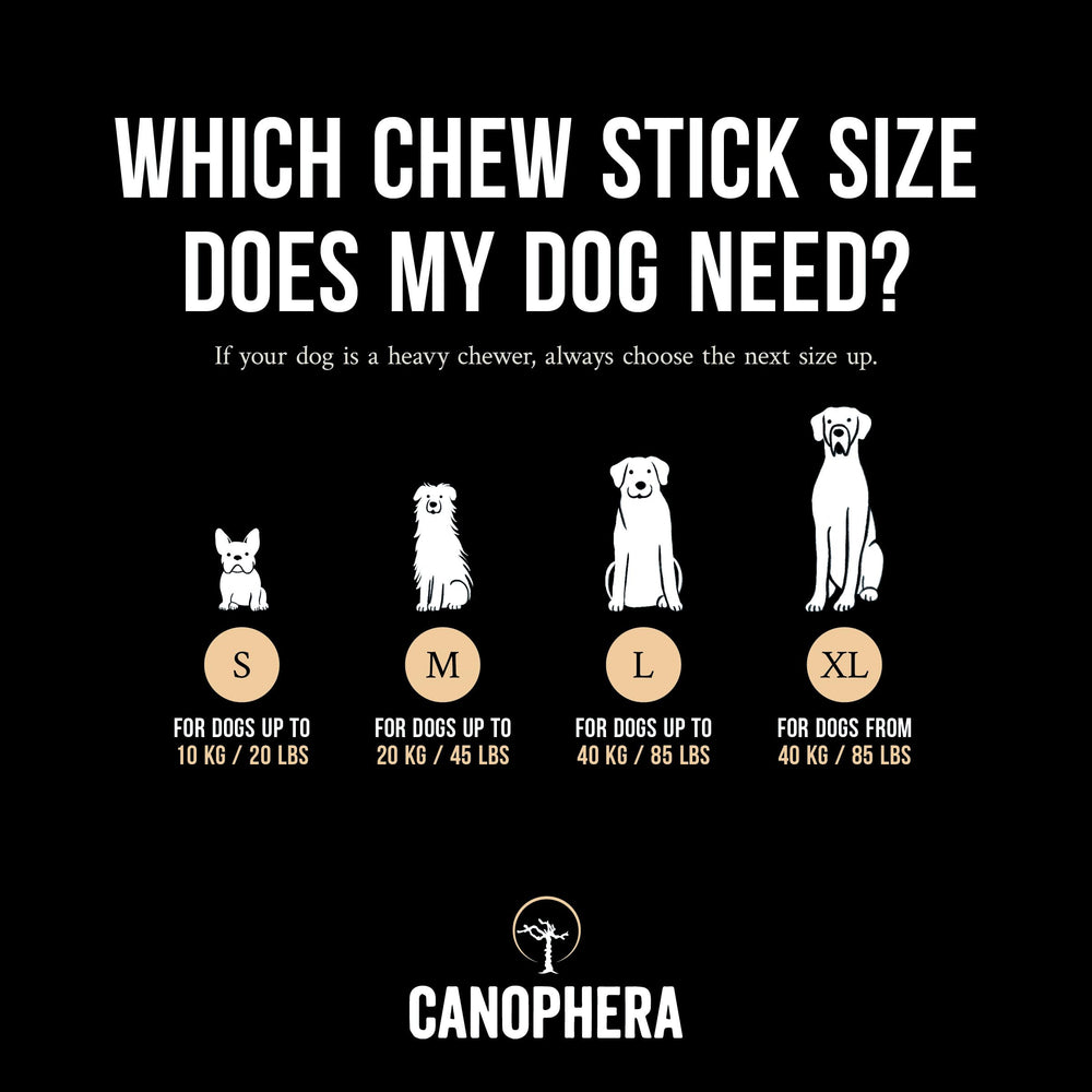 Canophera dog chew in action supports natural teeth cleaning during play.