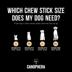 Canophera dog chew in action supports natural teeth cleaning during play.