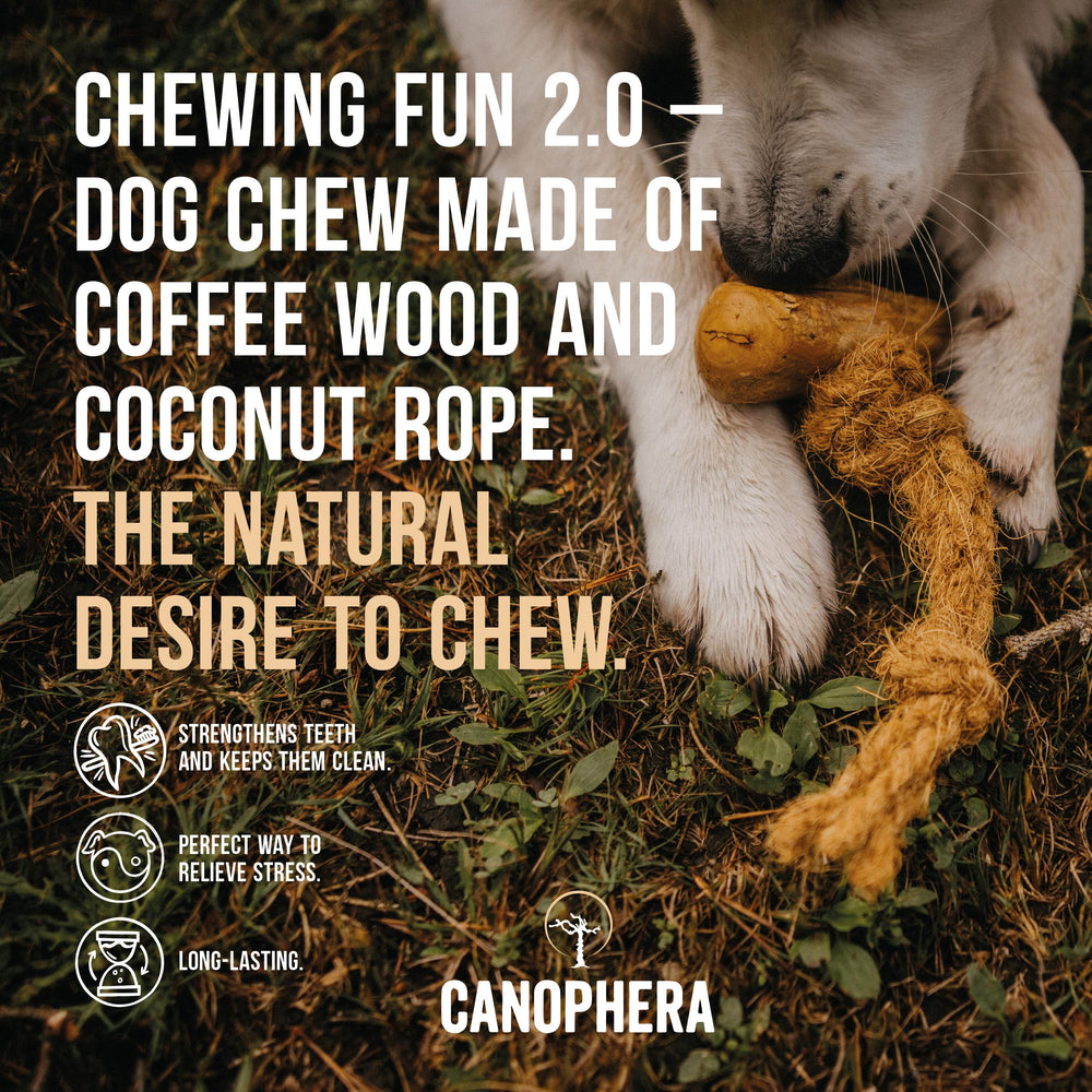 Close-up of Canophera chew's textured coffee wood fibers for lasting chewing time.