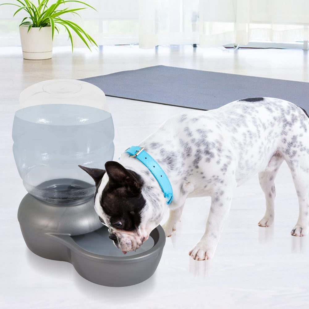 Canova charcoal filter in packaging, designed for home hydration routines.