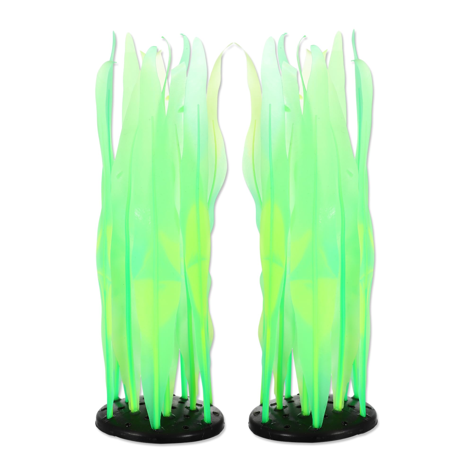 CAPASTEC glowing kelp plant in aquarium adds vibrant color and shelter for fish.