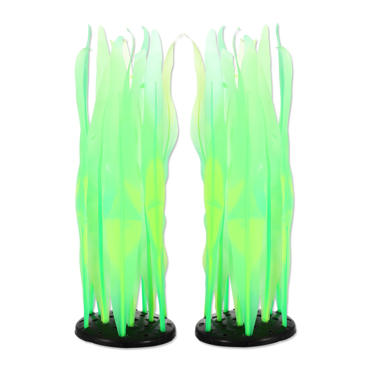 CAPASTEC glowing kelp plant in aquarium adds vibrant color and shelter for fish.