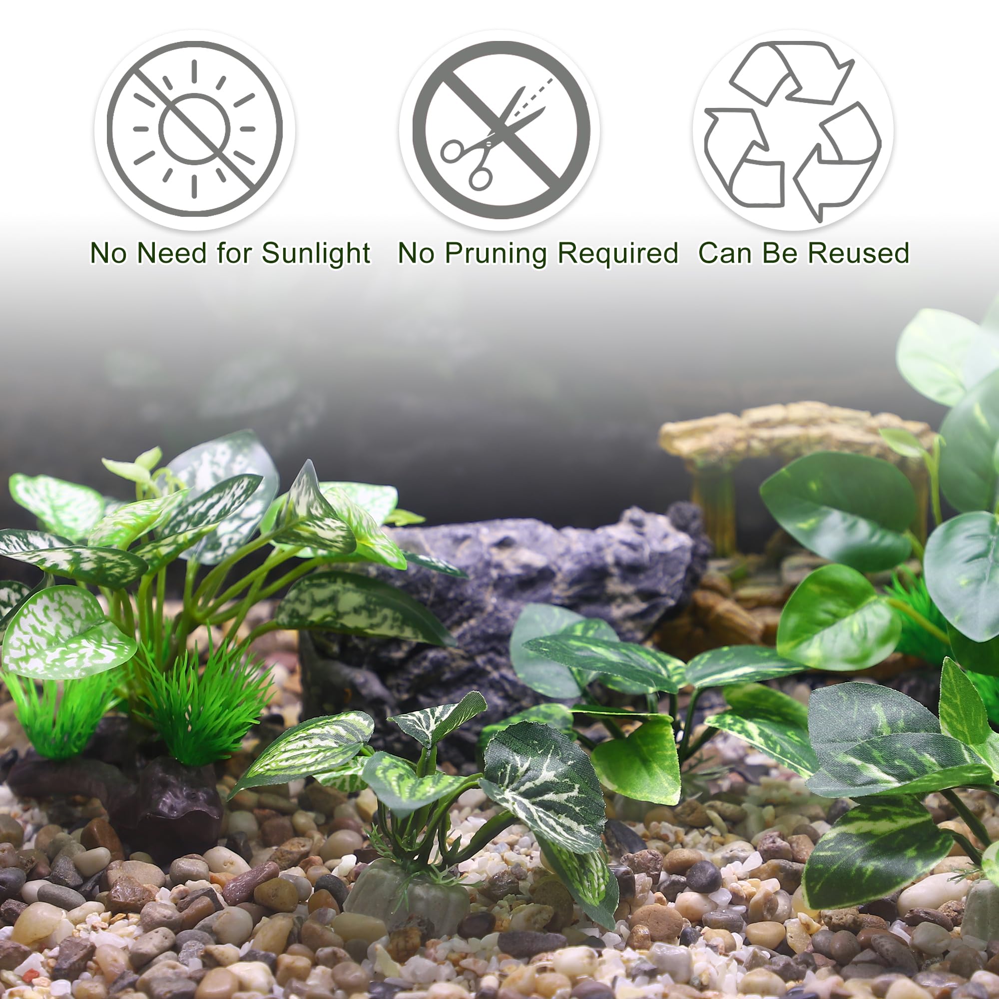 CAPASTEC betta habitat with hiding spots using plant decor